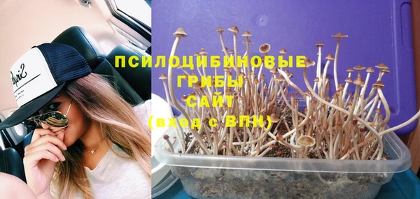 крисы Балабаново